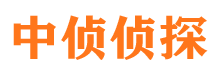 磐石侦探